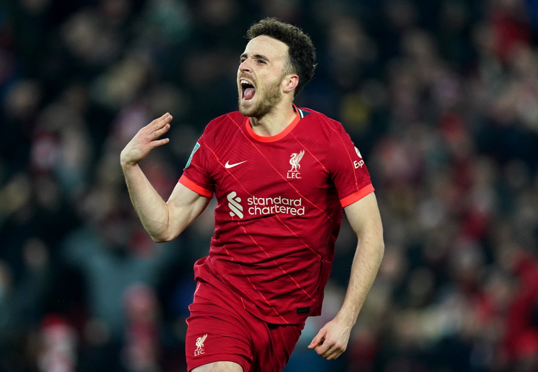 星空娱乐入口-利物浦英超梗